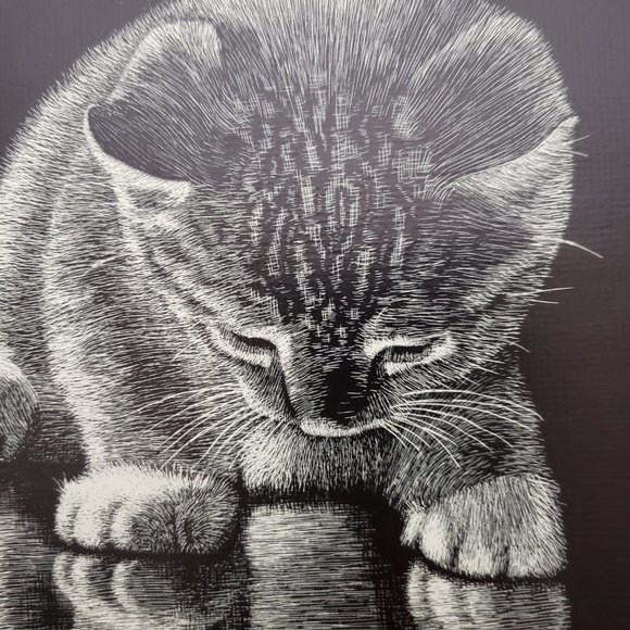 Vintage 70s Droguett Kitten Reflection Print Art Cute - Picture 12 of 12
